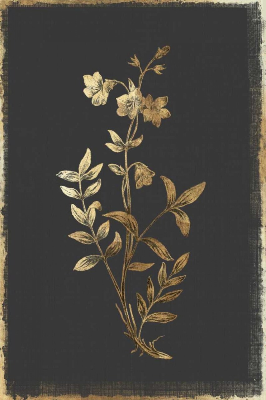 Greek Valerian Poster Print by PI Collection - Item # VARPDXPZ124A